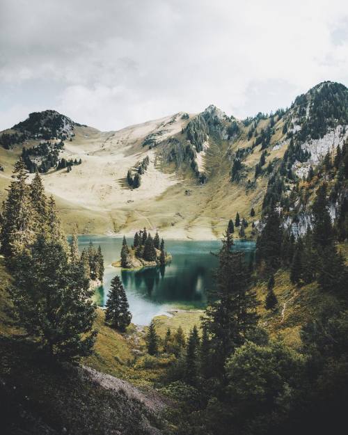 naturedm:Follow the blog i reblogged this from