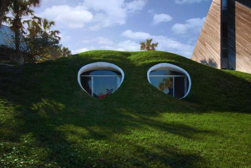 odditiesoflife:Five Cool Camouflage Homes1 — Dune Home in Atlantic Beach, Florida, these two psyched