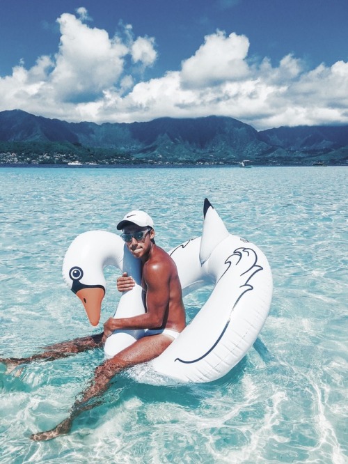 micah-dean:  Swans, I love swans. His name is Gilbert. IG:@micah_dean 
