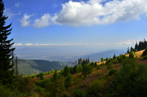 Vitosha mountain, Bulgaria | September 2021