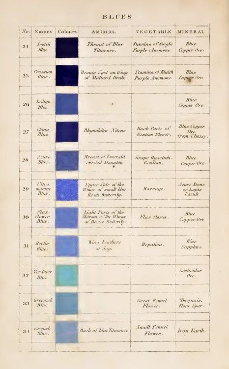 nobrashfestivity:   Patrick Syme, Charts for Werner’s Nomenclature of Colours: Adapted to Zoology, Botany, Chemistry, Mineralogy, Anatomy, and the Arts, 1821 Via brainpickings 