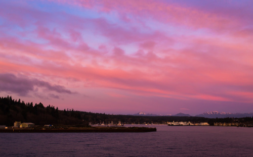 View back into Eagle Harbor, with the Olympics providing a lovely backdrop.