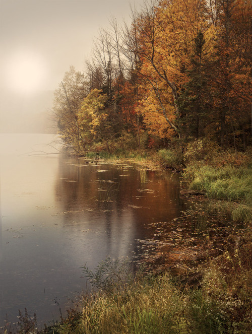 radivs: Kent Pond, Vermont by Magda Bognar