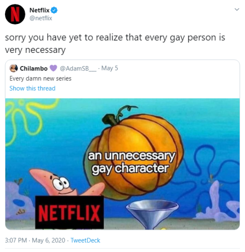 “sorry you have yet to realize that every gay person is very necessary”- Netflix, responding to a tw