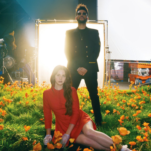 dellrey: Lust for Life (feat. The Weeknd) - Single by Lana Del Rey on iTunes 