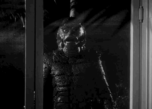 swampthingy:  Revenge of the Creature (1955)