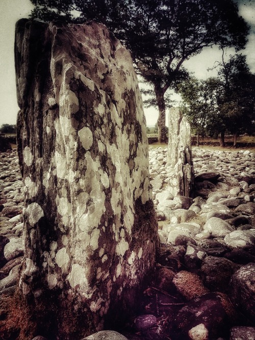 Temple Wood Stone Circle, Kilmartin Glen, Argyll, 14.7.18.