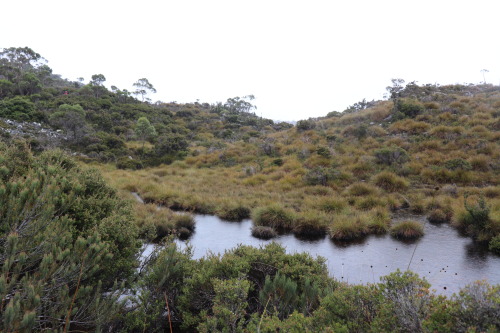 Cradle Mountain 2019