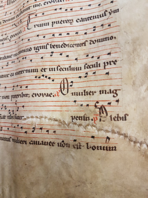 Ms. Codex 1590 -[Antiphonary: use of Lyon]This gorgeous manuscript is a secular antiphonary for litu