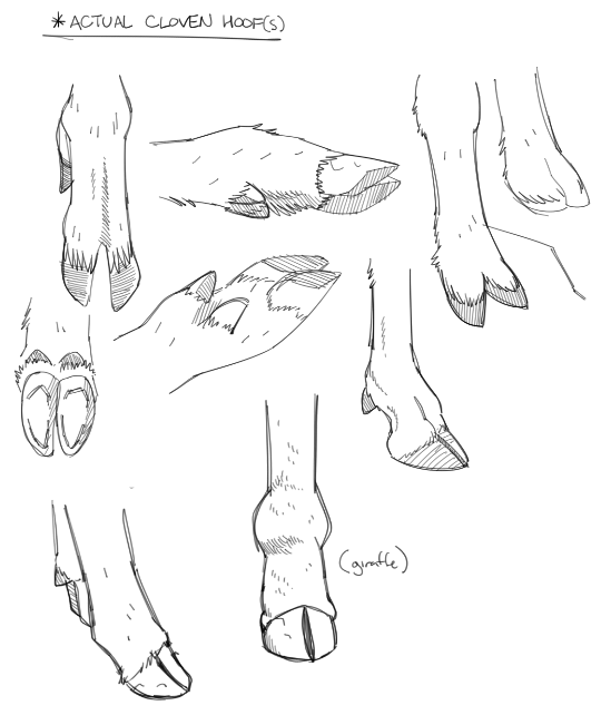 In the later half of my current sketchbook I’ve been doodling a lot of paws and