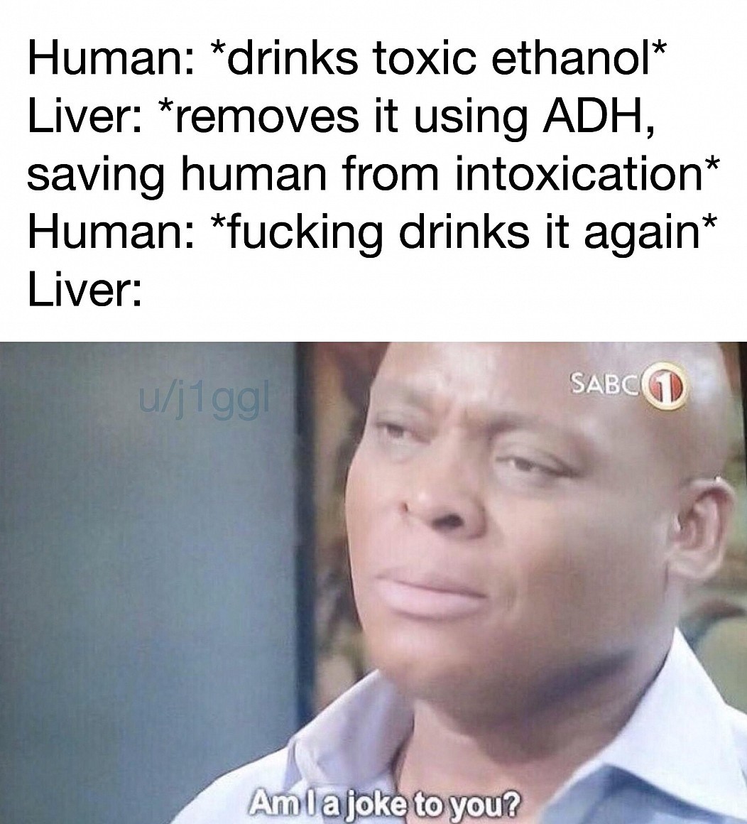 catchymemes