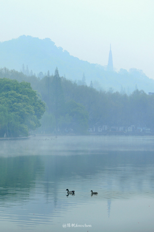 fuckyeahchinesegarden: March in hangzhou杭州, zhejiang province by 陈帆fotochen