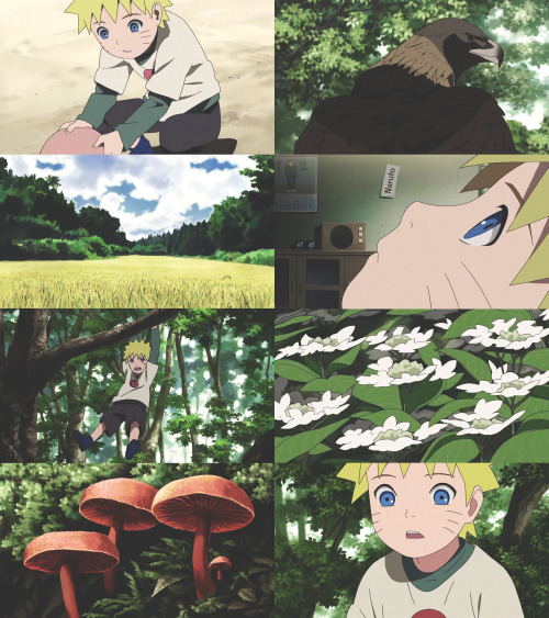 t-s-u-k-o-y-o-m-i:  Naruto  -  Hinata 