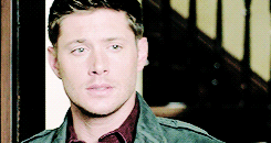 Beautiful loser