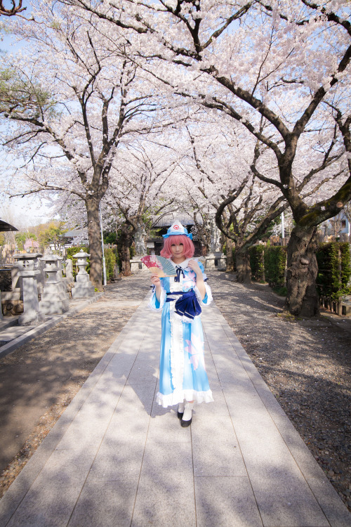 Touhou Project - Yuyuko Saigyouji (Mysuite) 15HELP US GROW Like,Comment & Share.CosplayJapaneseGirls1.5 - www.facebook.com/CosplayJapaneseGirls1.5CosplayJapaneseGirls2 - www.facebook.com/CosplayJapaneseGirl2tumblr - http://cosplayjapanesegirlsblog.tum