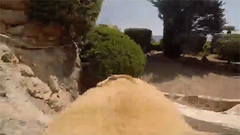 sizvideos:  Video