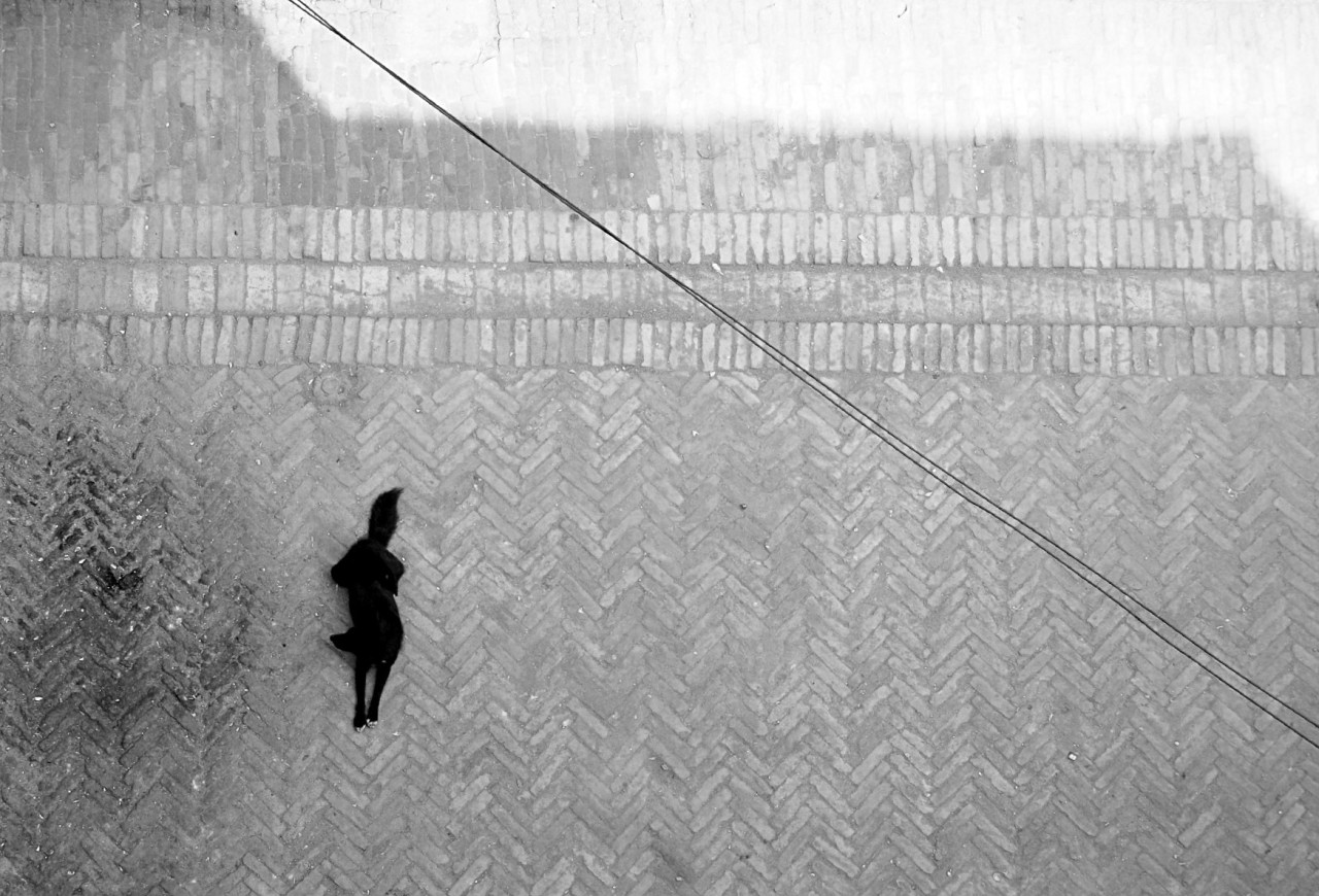 streetsick:  Photo by George Valdez 