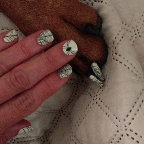 curingdepressionwithmemes: funovels: People Are Getting Matching Pedicures With Their Dogs OMFG I 