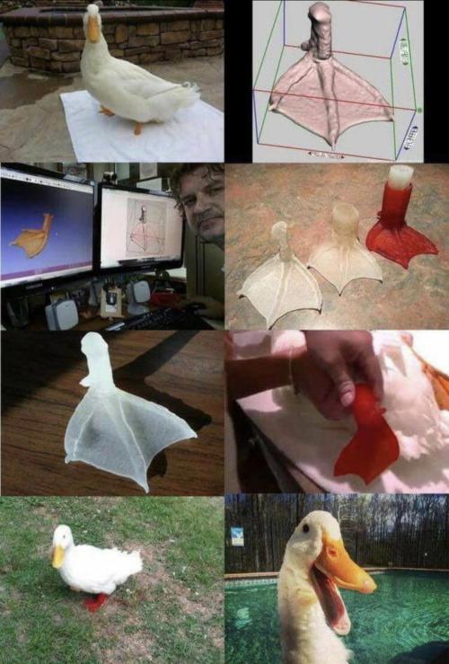 blondebrainpower:3D printed foot for a goose