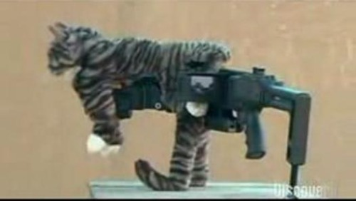 enrique262:The ultimate fuck you, the Kitty CornerShot, a normal CornerShot gun accessory with a stu