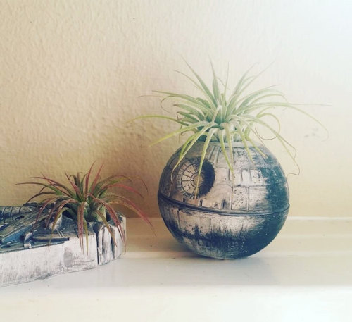 mayahan:  Miniature “Star Wars” Planters by Redwood Stoneworks