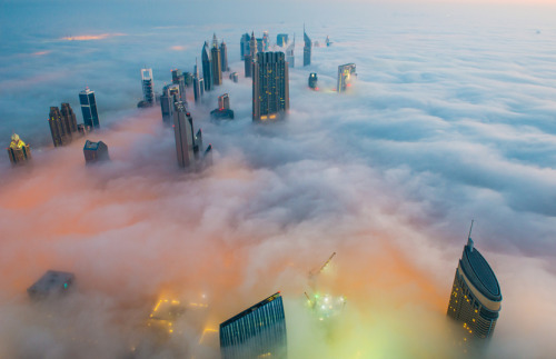  fog over (click pic) dubai (photographed by bjoern lauen and chloratine), shanghai (wei gensheng), chicago (steve raymer and bob gaudet), london (mpsinthesky), vancouver (andy clark), and new york (girish tewani) 