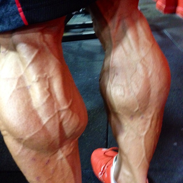 Muscle