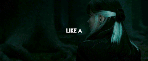 ravnclaws:                 — 	Marissa Meyer, Fairest 