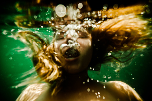 theonlymagicleftisart:Underwater Photography by Neil CraverTumblr | Facebook | WebsiteTo subscribe t