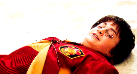 jayhalsstead: harry potter meme ϟ [9/9] characters: harry james potter (born 31 july, 1980