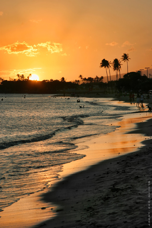 fraryguitar:Ala Moana Beach Park, near Kewalo Basin Harbor.