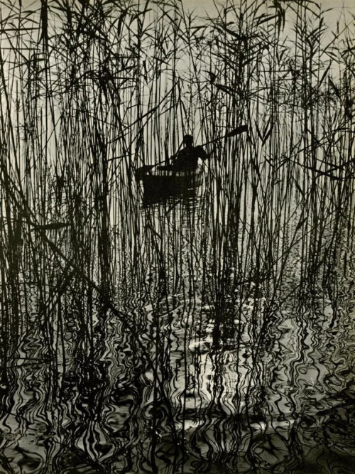 Ruth Hallersleben, Along the Bodensse at Mainau, 1961