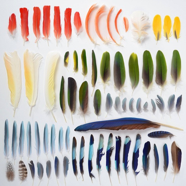 physicsshiny:  asylum-art-2:  Rainbow Worlds  by Julie Seabrook Ream Instagram 