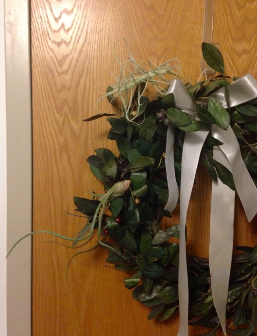 3.18.16 - Incorporated my real plants into my fake wreath. My air plants weren’t getting quite