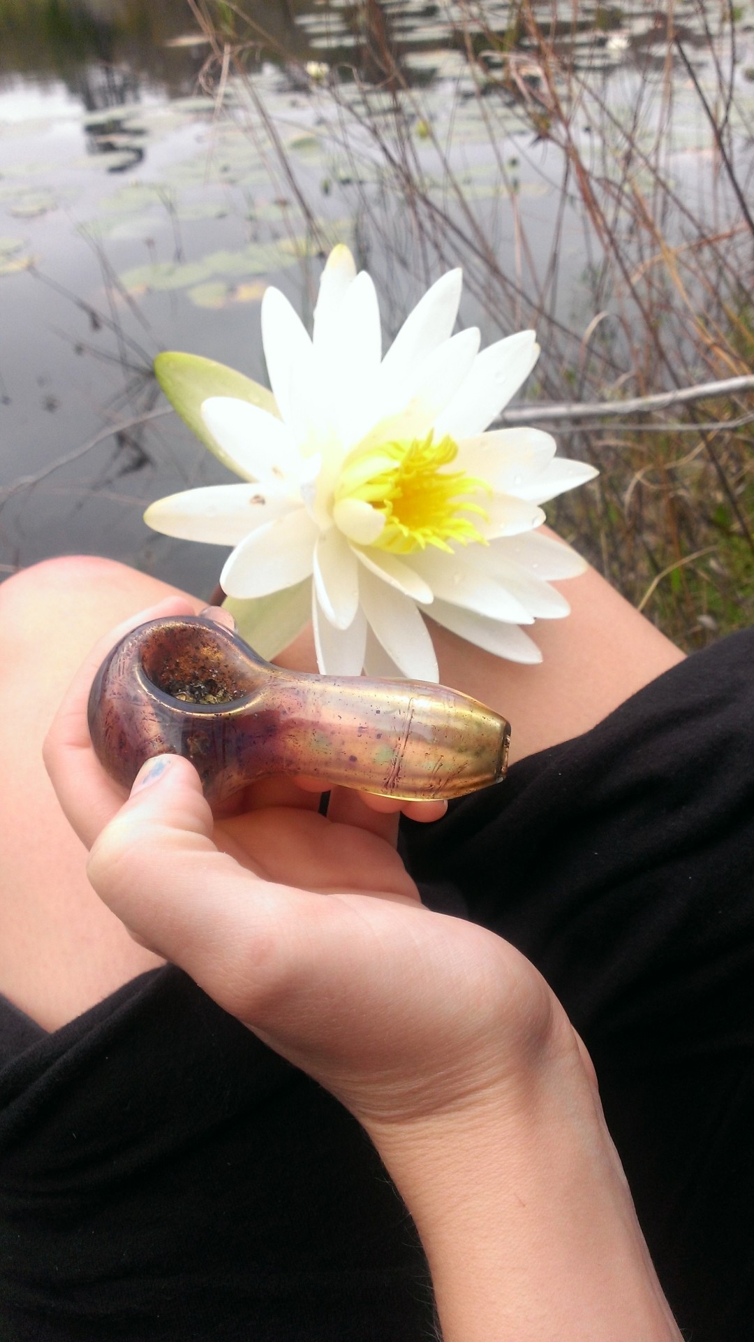 to-drugs-or-not-to-drugs:  Happy 4\20! 😃 