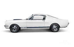 lostfoundagain:  1965 Shelby GT350 Mustang