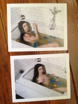 camdamage:  - Fall Cleaning Polaroids + Instax