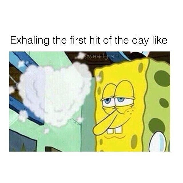thisisthestonerparadis:  Wake and bake 🌿🔥💨