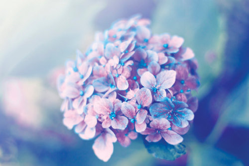 mellowboom:  Shades of light Blues & Purples- beautiful & calming 