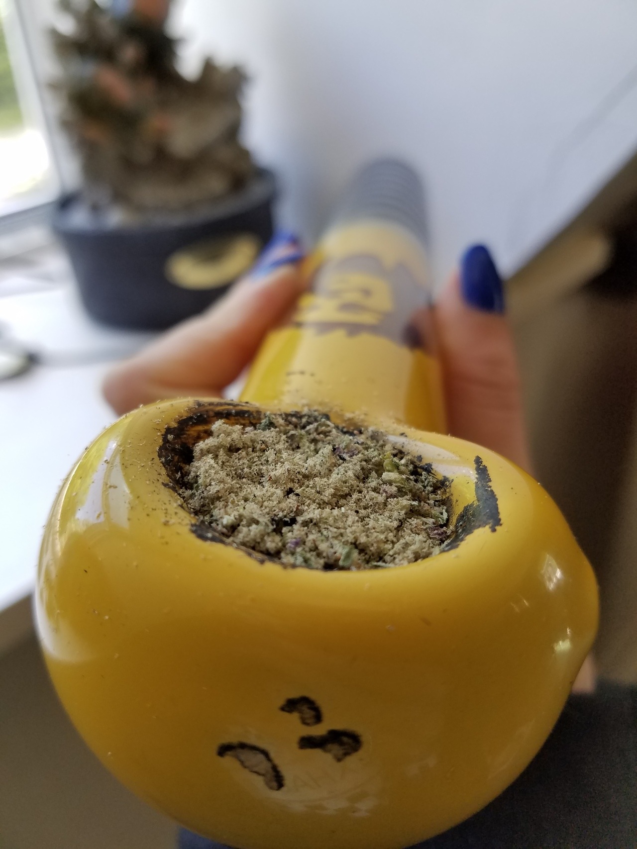 indica-illusions: 💨💫💥💛