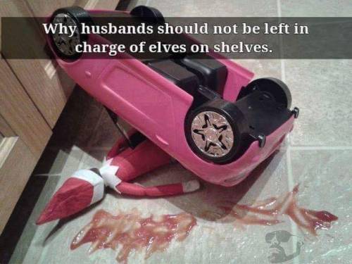 WTF Humor