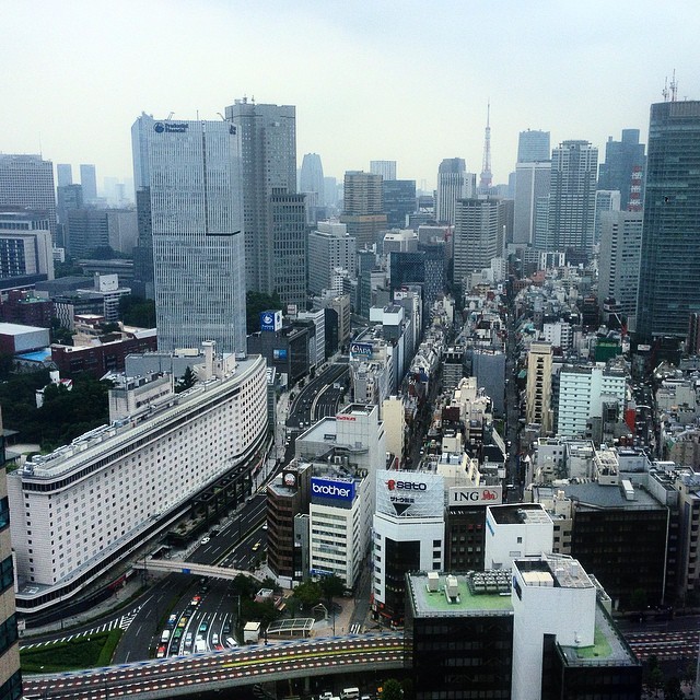 Vistas de Tokyo, con la Tokyo Tower al fondo #japan #tokyo #chiyodaku #newotani (Top Of The Tower, Hotel New Otani)