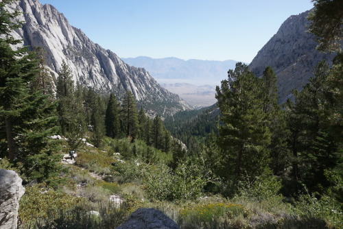 Views from the lower elevations of the Mt Whitney trail