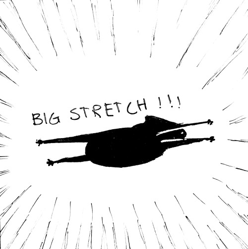 Plagg Does A Big Stretch!