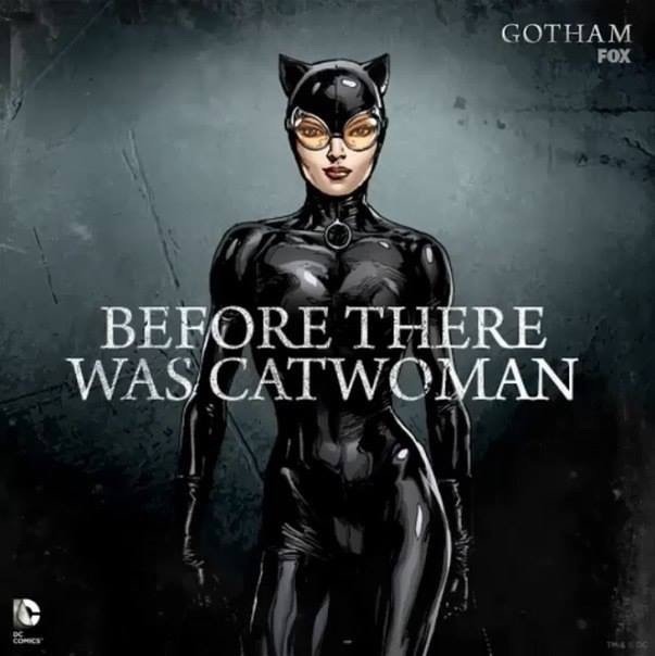 thehijynx:  doll-frakking-house:  geekjunk:  Gotham - Fox Serie   I think DC has