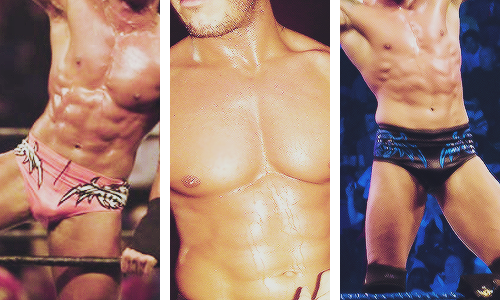 theprincethrone-deactivated2016:  Randy Orton Meme: Faceless   But his face is just as perfect! I can still drool over his body though! Haha