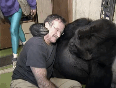 Porn mirkokosmos:  Robin Williams & Koko, photos