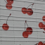 cherry-ladyy