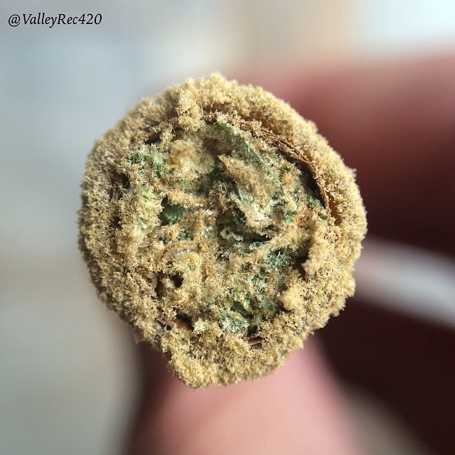 weedporndaily:  Cookies+Wax+Kief=🔥 by valleyrec420