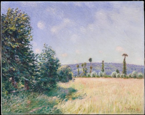 Sahurs Meadows in Morning Sun, Alfred Sisley, 1894, European PaintingsGift of Janice H. Levin, 1991S